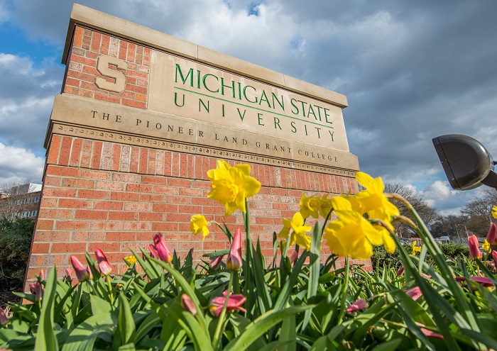 MSU sign