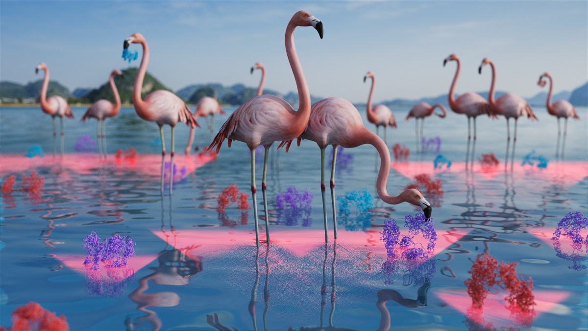 Tensor Flamingo Algorithm